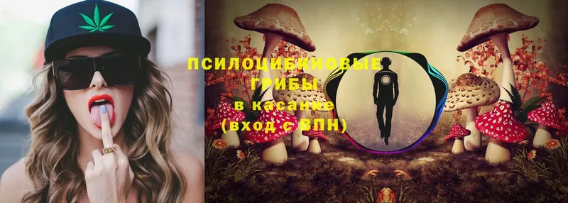 Галлюциногенные грибы Psilocybine cubensis  как найти   Агидель 